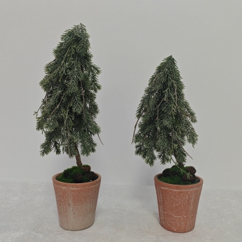 Distressed Terracotta Potted Drooping Frosted Pine Tree Decor Distressed Terracotta Potted Drooping Frosted Pine Tree Decor