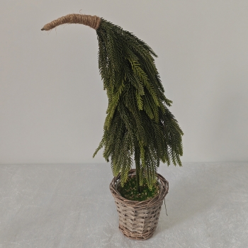 Bent Drooping Pine Tabletop Christmas Arrangement
