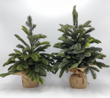 Noble Fir Mini Christmas Tree, Burlap Wrapped Base