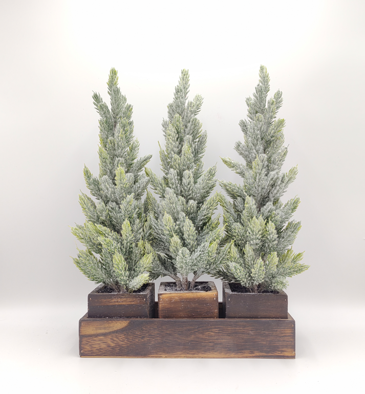 Set‑of‑3 Frosted Cypress Trees on Distressed Wood Tray
