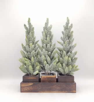 Set‑of‑3 Frosted Cypress Trees on Distressed Wood Tray