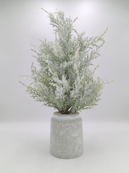 Snow‑Kissed Cypress Tabletop Greenery