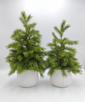Set‑of‑2 Lush Artificial Norfolk Pine in Ribbed White Pots