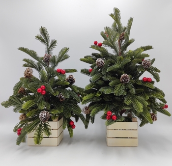 Rustic Red‑Berry Mini Evergreen Duo