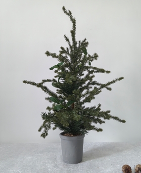 Artificial Noble Fir Potted Tree